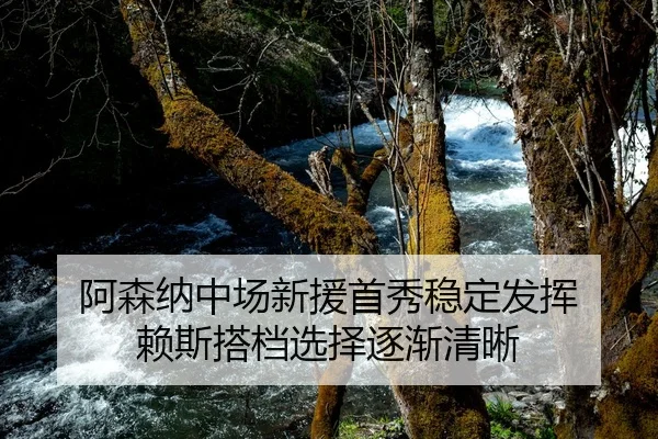 阿森纳中场新援首秀稳定发挥 赖斯搭档选择逐渐清晰